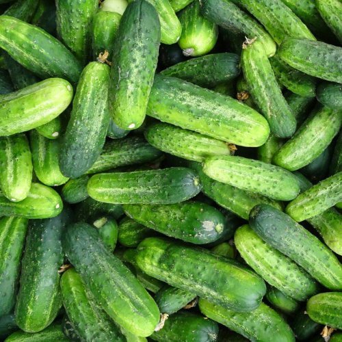 Ogórki