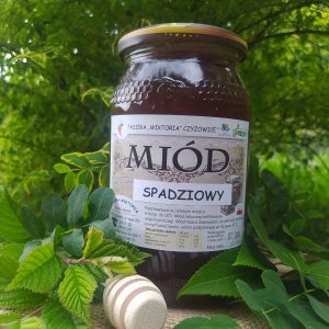 Miód spadziowy